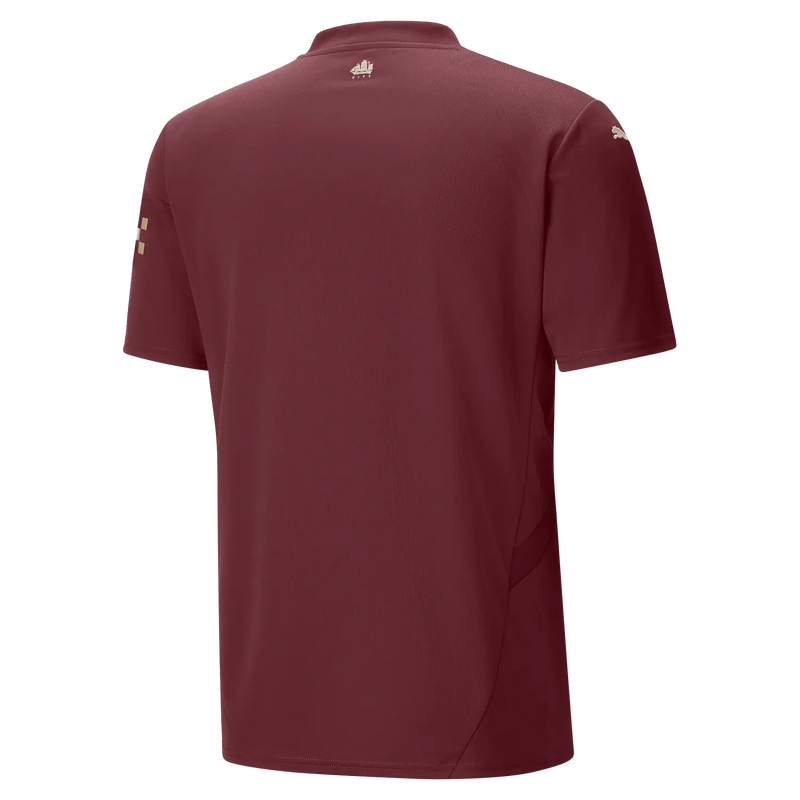 Camisola Manchester City Alternativo 2024-2025