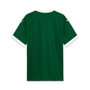 Camisola Palmeiras Principal 25/26